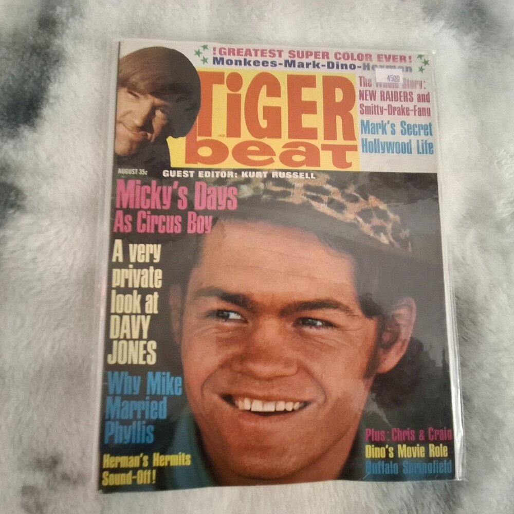 TIGER BEAT, Teen Magazine, August 1967, Monkees, Raiders, Hermits, Teen Stars
